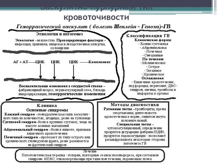 Васкулитно-пурпурный тип кровоточивости