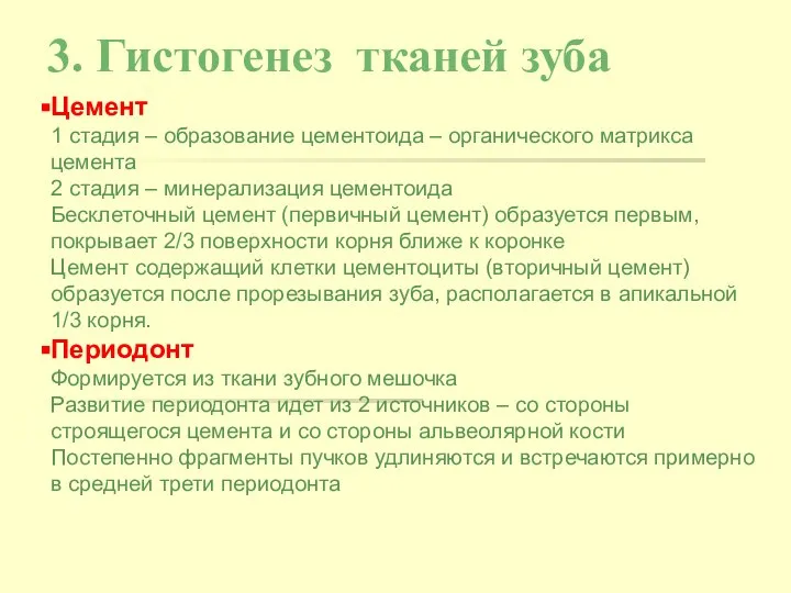 3. Гистогенез тканей зуба Цемент 1 стадия – образование цементоида –