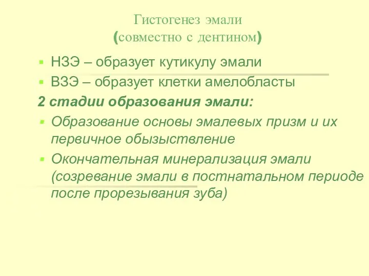 Гистогенез эмали (совместно с дентином) НЗЭ – образует кутикулу эмали ВЗЭ