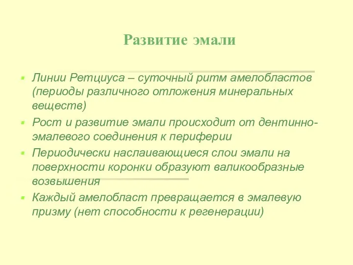 Развитие эмали Линии Ретциуса – суточный ритм амелобластов (периоды различного отложения