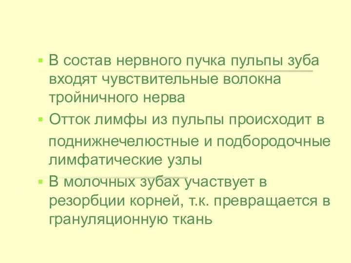 В состав нервного пучка пульпы зуба входят чувствительные волокна тройничного нерва