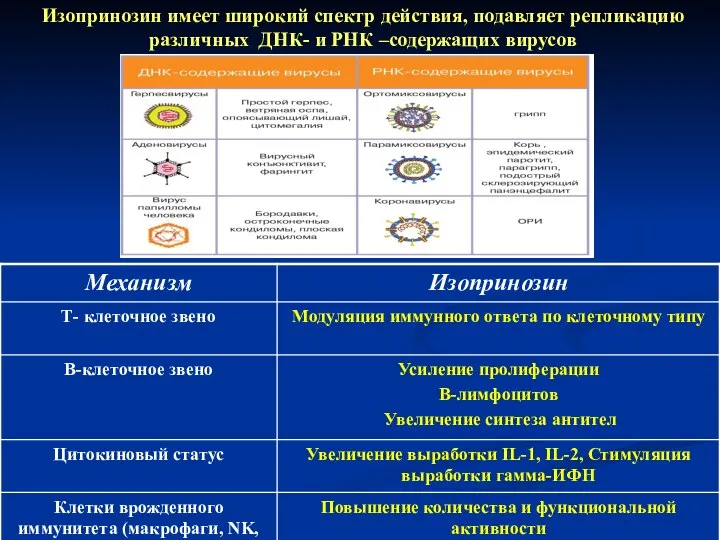 Изопринозин имеет широкий спектр действия, подавляет репликацию различных ДНК- и РНК –содержащих вирусов