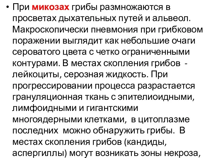 При микозах грибы размножаются в просветах дыхательных путей и альвеол. Макроскопически