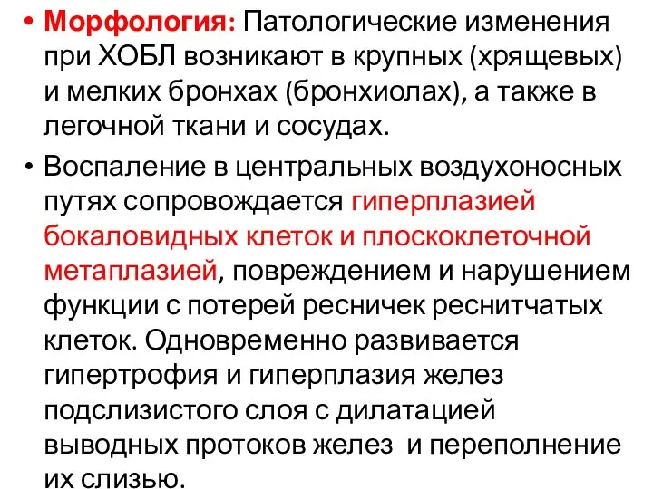 Морфология: Патологические изменения при ХОБЛ возникают в крупных (хрящевых) и мелких