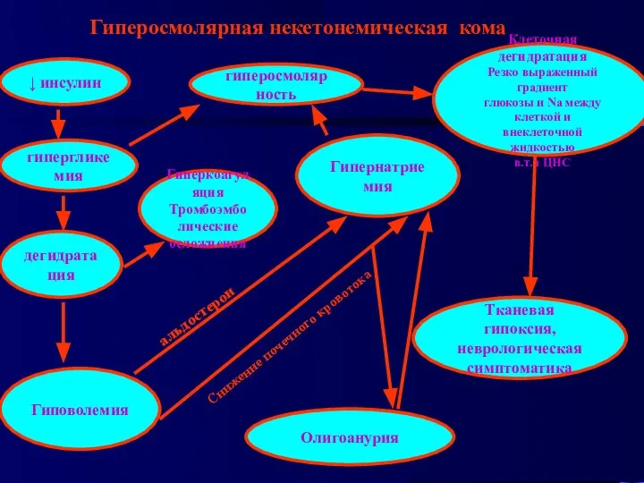 Гиперосмолярная некетонемическая кома гипергликемия ↓ инсулин дегидратация Гиповолемия Гипернатриемия альдостерон Снижение