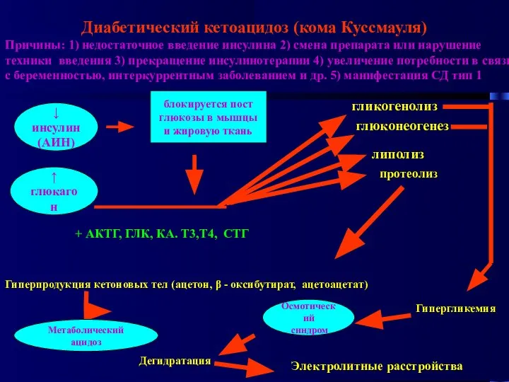 Диабетический кетоацидоз (кома Куссмауля) Причины: 1) недостаточное введение инсулина 2) смена