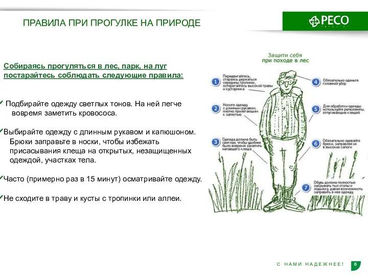 Собираясь прогуляться в лес, парк, на луг постарайтесь соблюдать следующие правила: