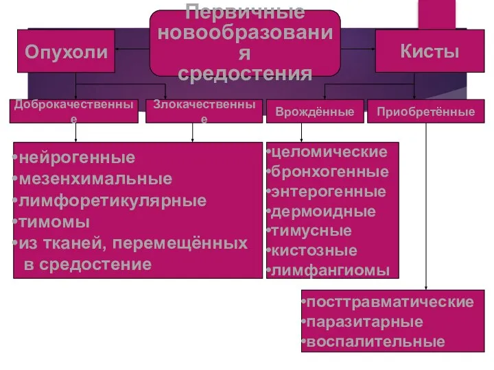 Первичные новообразования средостения Кисты Опухоли Доброкачественные Злокачественные Врождённые Приобретённые нейрогенные мезенхимальные