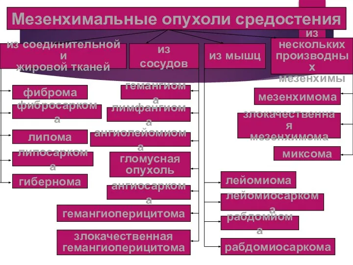 Мезенхимальные опухоли средостения из соединительной и жировой тканей из сосудов из