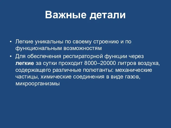 Важные детали Легкие уникальны по своему строению и по функциональным возможностям