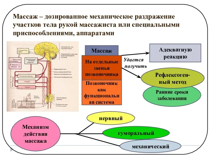 Ранние сроки заболевания Массаж – дозированное механическое раздражение участков тела рукой