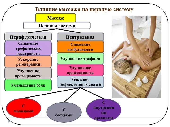 Влияние массажа на нервную систему Массаж Нервная система Периферическая Центральная Снижение