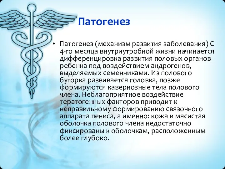 Патогенез Патогенез (механизм развития заболевания) С 4-го месяца внутриутробной жизни начинается