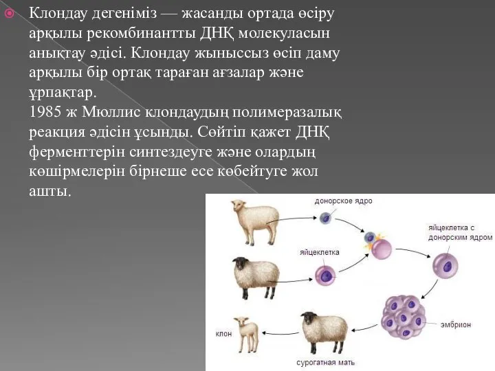 Клондау дегеніміз — жасанды ортада өсіру арқылы рекомбинантты ДНҚ молекуласын анықтау