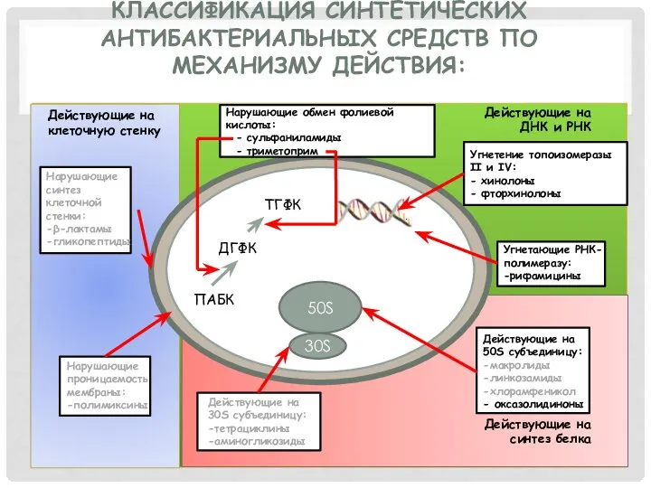 КЛАССИФИКАЦИЯ СИНТЕТИЧЕСКИХ АНТИБАКТЕРИАЛЬНЫХ СРЕДСТВ ПО МЕХАНИЗМУ ДЕЙСТВИЯ: ПАБК ДГФК ТГФК 50S