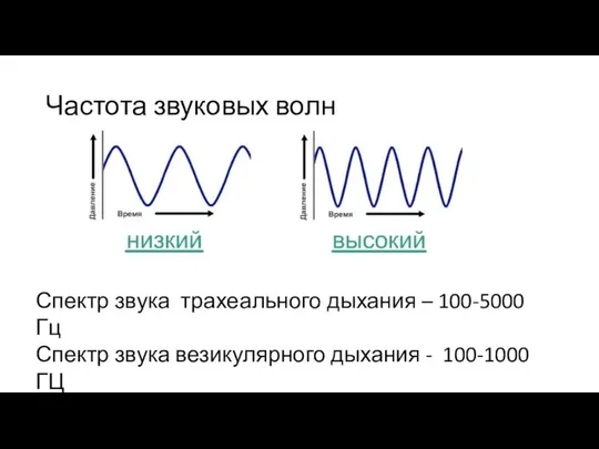 Частота звуковых волн Спектр звука трахеального дыхания – 100-5000 Гц Спектр