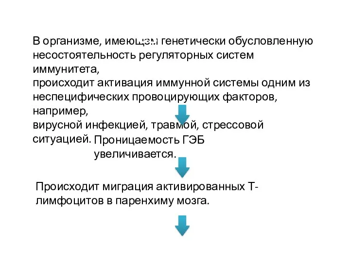 В организме, имеющем генетически обусловленную несостоятельность регуляторных систем иммунитета, происходит активация