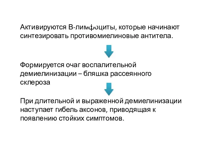 Активируются В-лимфоциты, которые начинают синтезировать противомиелиновые антитела. Патогенез Формируется очаг воспалительной