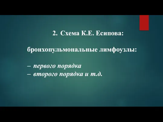 Схема К.Е. Есипова: бронхопульмональные лимфоузлы: первого порядка второго порядка и т.д.