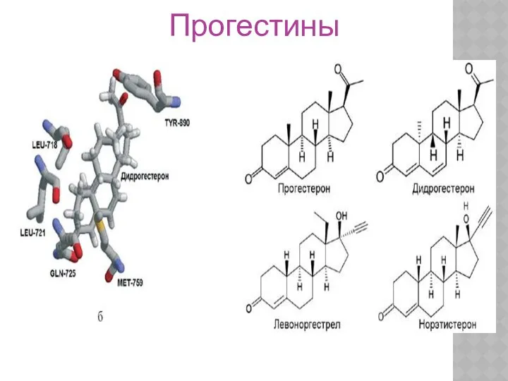 Прогестины