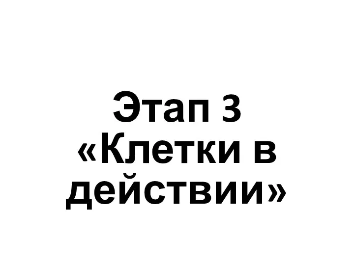 Этап 3 «Клетки в действии»