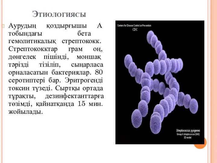 Этиологиясы Аурудың қоздырғышы А тобындағы бета гемолитикалық стрептококк. Стрептококктар грам оң,