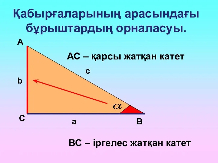 А С В b c a АС – қарсы жатқан катет