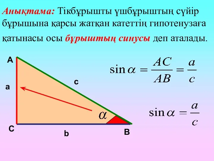 А С В b c a Анықтама: Тікбұрышты үшбұрыштың сүйір бұрышына