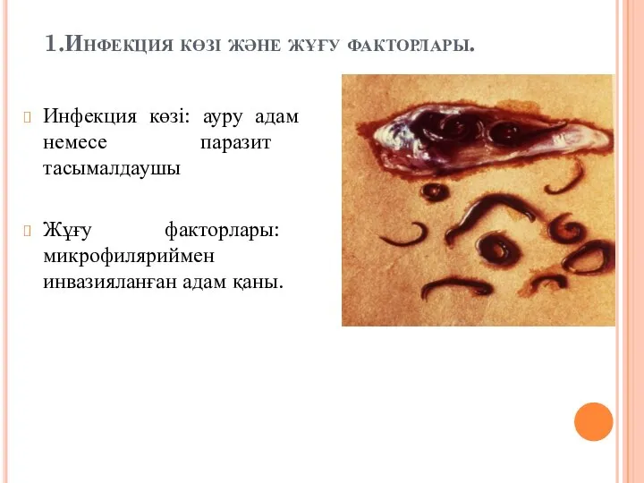 1.Инфекция көзі және жұғу факторлары. Инфекция көзі: ауру адам немесе паразит