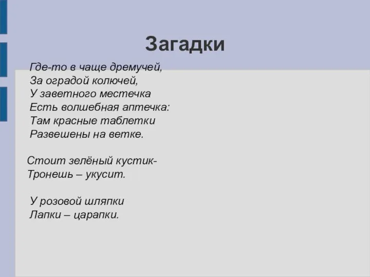 Загадки Где-то в чаще дремучей, За оградой колючей, У заветного местечка