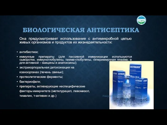 БИОЛОГИЧЕСКАЯ АНТИСЕПТИКА Она предусматривает использование с антимикробной целью живых организмов и