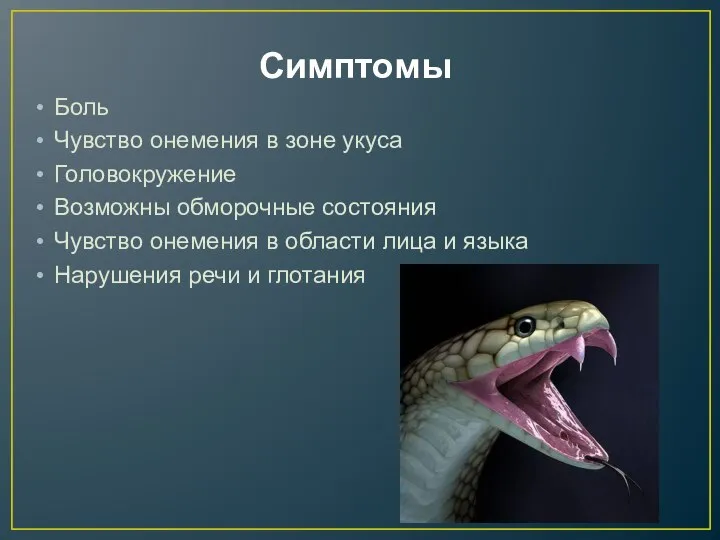 Симптомы Боль Чувство онемения в зоне укуса Головокружение Возможны обморочные состояния