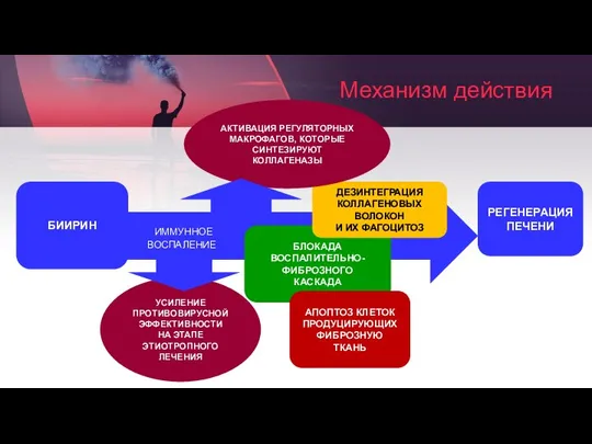 Механизм действия ИММУННОЕ ВОСПАЛЕНИЕ БИИРИН БЛОКАДА ВОСПАЛИТЕЛЬНО-ФИБРОЗНОГО КАСКАДА АПОПТОЗ КЛЕТОК ПРОДУЦИРУЮЩИХ