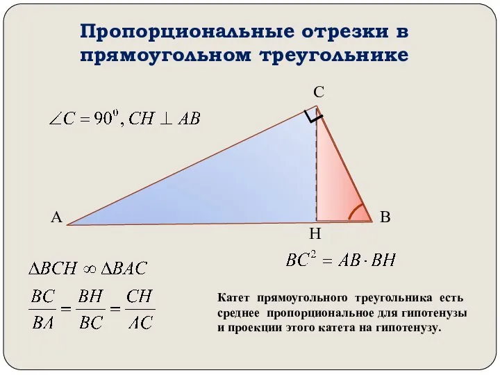 Пропорциональные отрезки в прямоугольном треугольнике А В С Н Катет прямоугольного