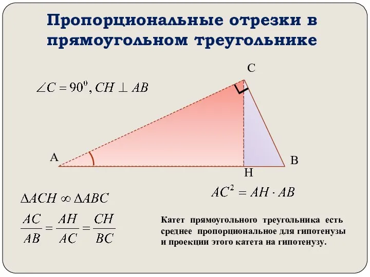 Пропорциональные отрезки в прямоугольном треугольнике А В С Н Катет прямоугольного