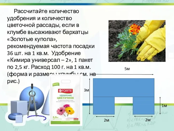 Рассчитайте количество удобрения и количество цветочной рассады, если в клумбе высаживают