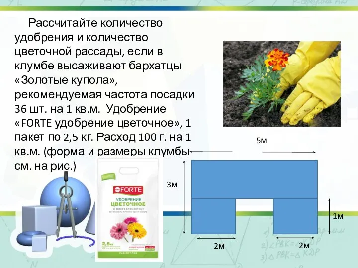 Рассчитайте количество удобрения и количество цветочной рассады, если в клумбе высаживают