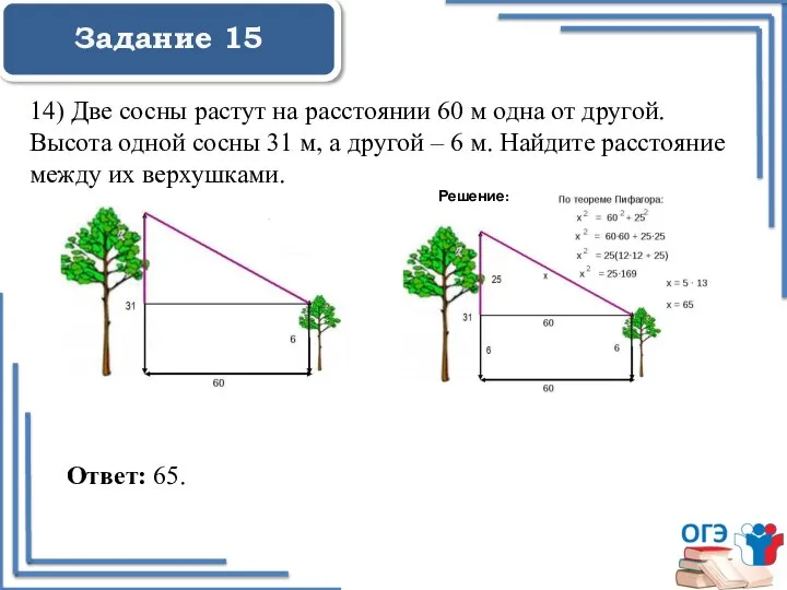 Задание 15 14) Две сосны растут на расстоянии 60 м одна