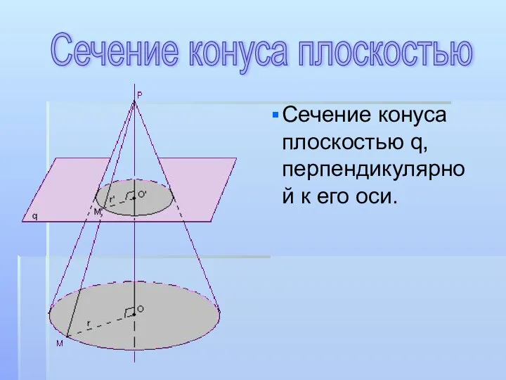 Сечение конуса плоскостью q, перпендикулярной к его оси. Сечение конуса плоскостью