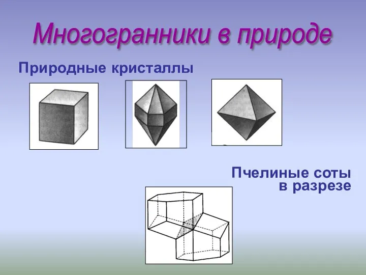 Многогранники в природе Природные кристаллы Пчелиные соты в разрезе