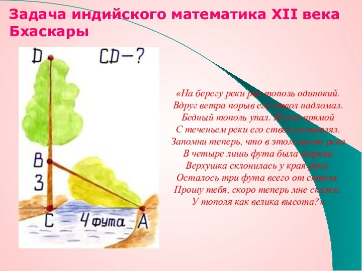 Задача индийского математика XII века Бхаскары «На берегу реки рос тополь