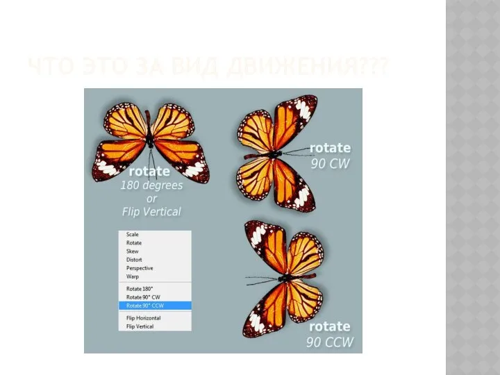 ЧТО ЭТО ЗА ВИД ДВИЖЕНИЯ???