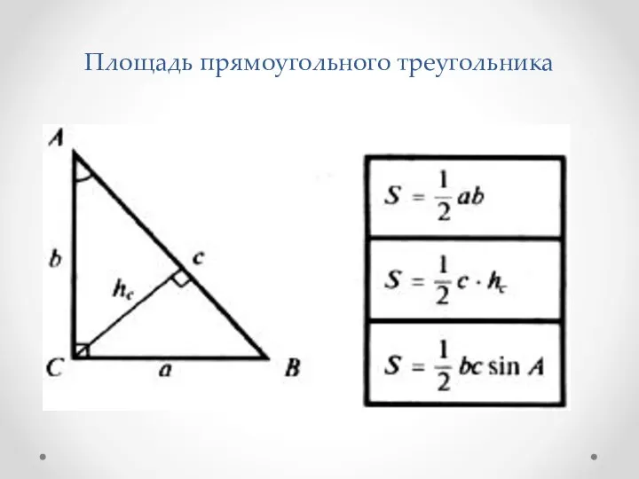 Площадь прямоугольного треугольника