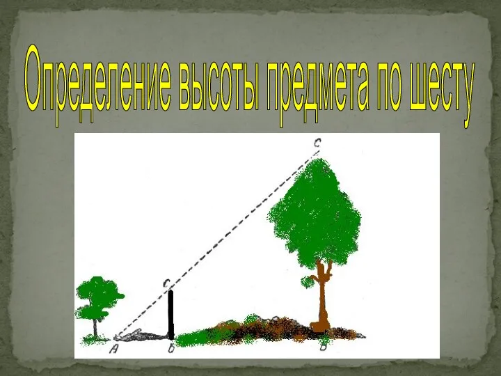 Определение высоты предмета по шесту