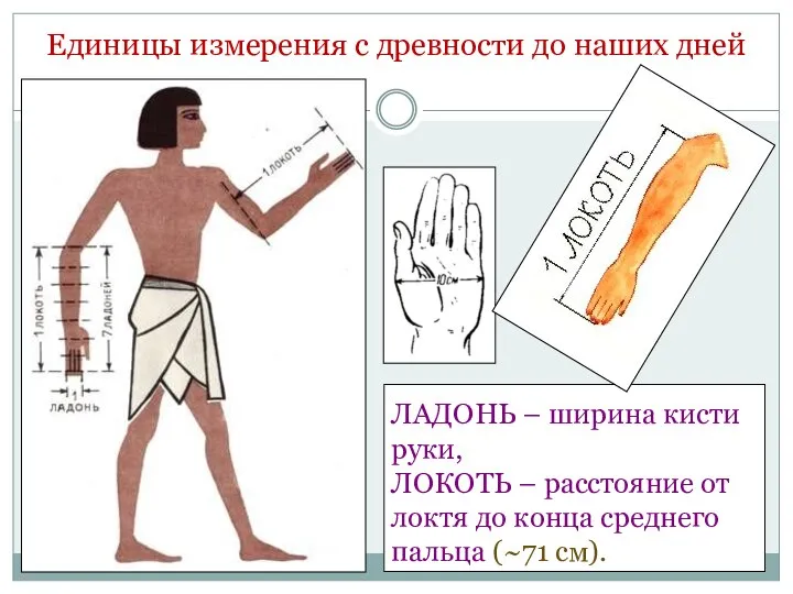 Единицы измерения с древности до наших дней ЛАДОНЬ – ширина кисти