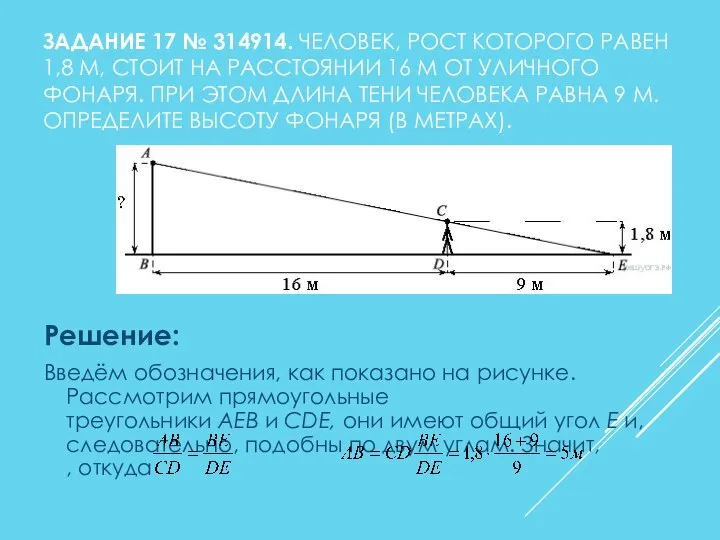 ЗАДАНИЕ 17 № 314914. ЧЕЛОВЕК, РОСТ КОТОРОГО РАВЕН 1,8 М, СТОИТ