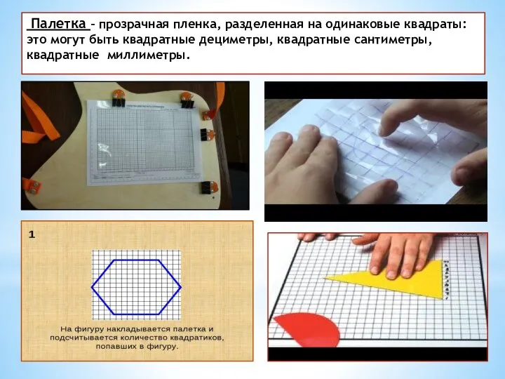 Палетка – прозрачная пленка, разделенная на одинаковые квадраты: это могут быть