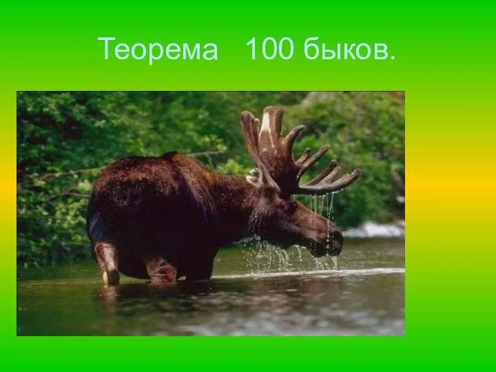 Теорема 100 быков.