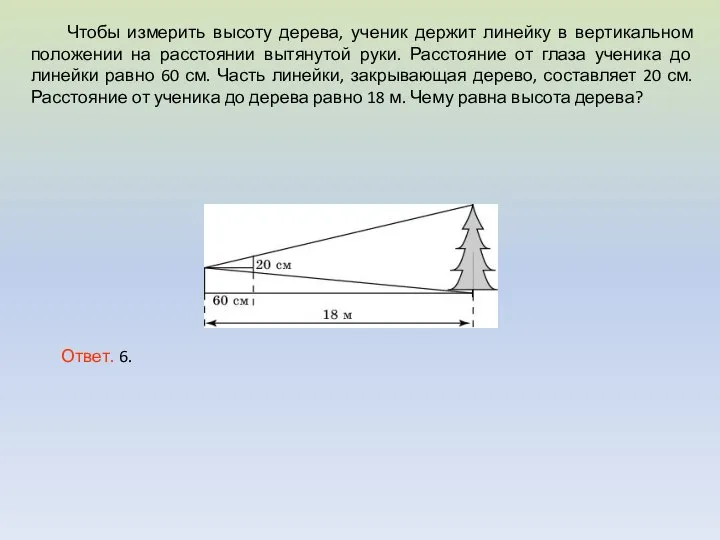 Чтобы измерить высоту дерева, ученик держит линейку в вертикальном положении на