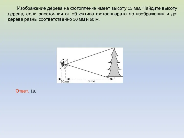 Изображение дерева на фотопленке имеет высоту 15 мм. Найдите высоту дерева,